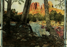 Jay Pfeil, Printmaker, creates etchings and engravings representing the peace, joy and natural beauty found in the forest and mountains of Western NC.